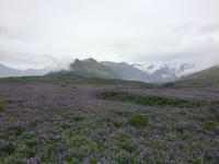 Impressionen