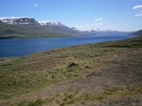 Island 2013