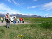 Island, Picknick am Strand auf der Halbinsel Snaefellsnes