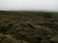 Lavafelder