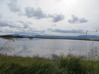 Myvatn-Mückensee