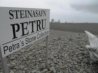 Petras Steinhaus