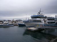 Reykjavik