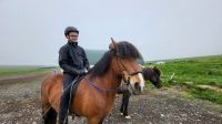 Rundreise Island - Besuch beim Islandpferdehof