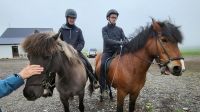Rundreise Island - Besuch beim Islandpferdehof
