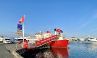Rundreise Island - Bootsfahrt Walsafari