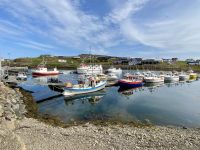 Rundreise Island - Djupivogur
