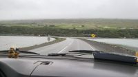 Rundreise Island - Fahrt zu den Islandpferden
