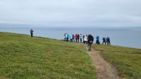 Rundreise Island - Fotostopp bei den Puffins (Papageitaucher)