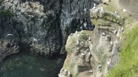 Rundreise Island - Halbinsel Snæfellsnes 