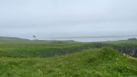 Rundreise Island - Landspitze Dyrholaey