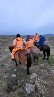 Rundreise Island - Reitausflug mit Islandpferden bei Akureyri