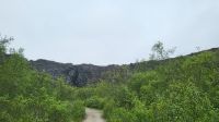 Rundreise Island - Spaziergang in der Ásbyrgi-Schlucht