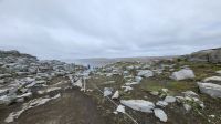 Rundreise Island - Spaziergang zum Dettifoss