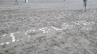 Rundreise Island - Stopp am schwarzen Strand von Vik