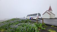 Rundreise Island - Stopp in Vik