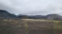 Rundreise Island - Weiterfahrt mit endlosen Lavafeldern