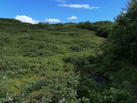 Skaftafell Nationalpark