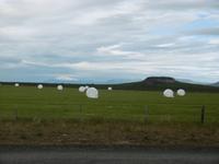 Snaefellsnes