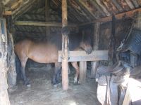 Stallung im Grassodenhaus