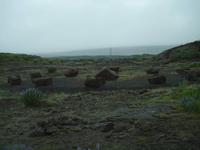 Steinkreis