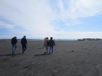 Strandspaziergang