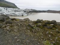 Svinafellsjökull