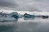 Tag 8 - Island - Gletscherlagune (6)