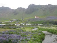 Vik an der Südküste