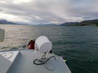 Walsafari in Akureyri