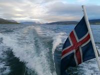 Walsafari in Akureyri