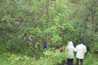 Wanderung in der Hufeneisenschlucht Ãsbyrai