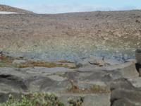 Wasserfall Dettifoss