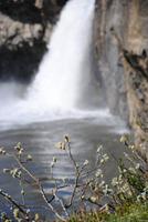 Wasserfall Godafoss