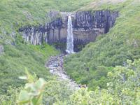 Wasserfall Svartifoss, von Basaltsäulen umgeben