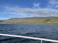 Whale-Watching Tour