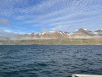 Whale-Watching Tour