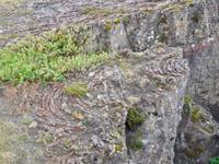 abgekühltes Lava