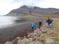 am Berufjord