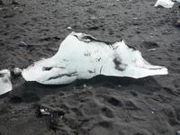 am Strand