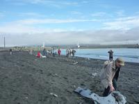 am Strand