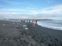 am Strand