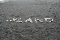 am schwarzen Strand