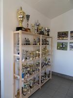 die beeindruckende Pokalsammlung auf dem Pferdehof Flugumyri