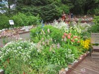 im Garten von Petra