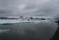 in der Gletscherlagune Jökulsárlón