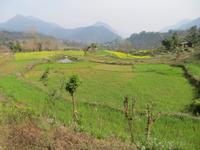 in Nepals Mittelland