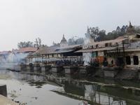 in Pashupatinath