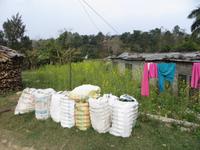 Flaschensammeln in Nepal