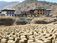 Spaziergang zum Fruchtbarkeitskloster